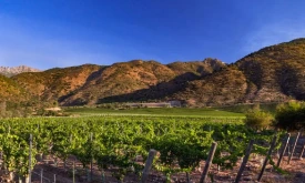 cachapoal-andes-2-1 cachapoal andes