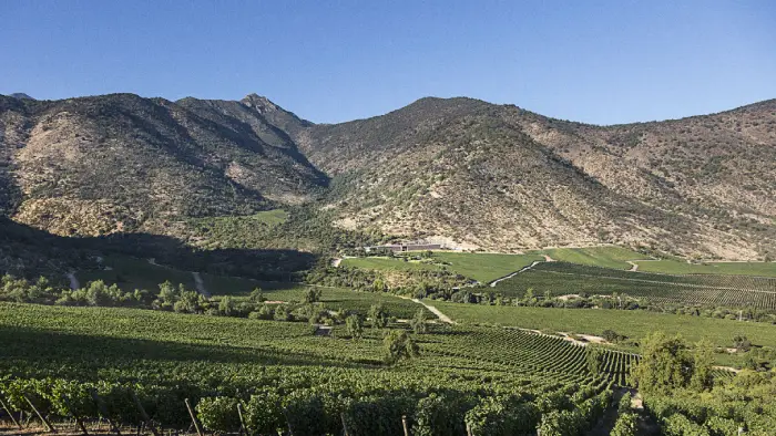 viña san pedro-cachapoal andes viña san pedro cachapoal andes