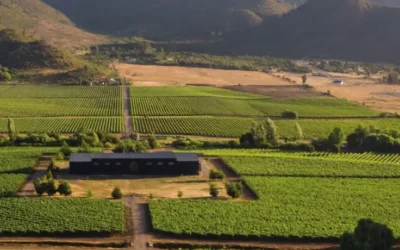 Ruta del vino de Cachapoal en tren
