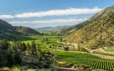 Rutas del Vino de Chile