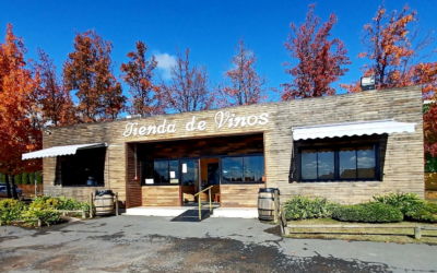 ¿Dónde se pueden comprar vinos de la Ruta del Vino Cachapoal?