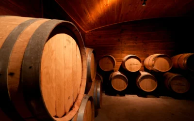 Experiencia Vino & Panes & Mas