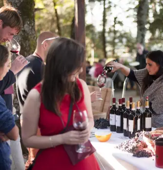 eventos en cachapoal