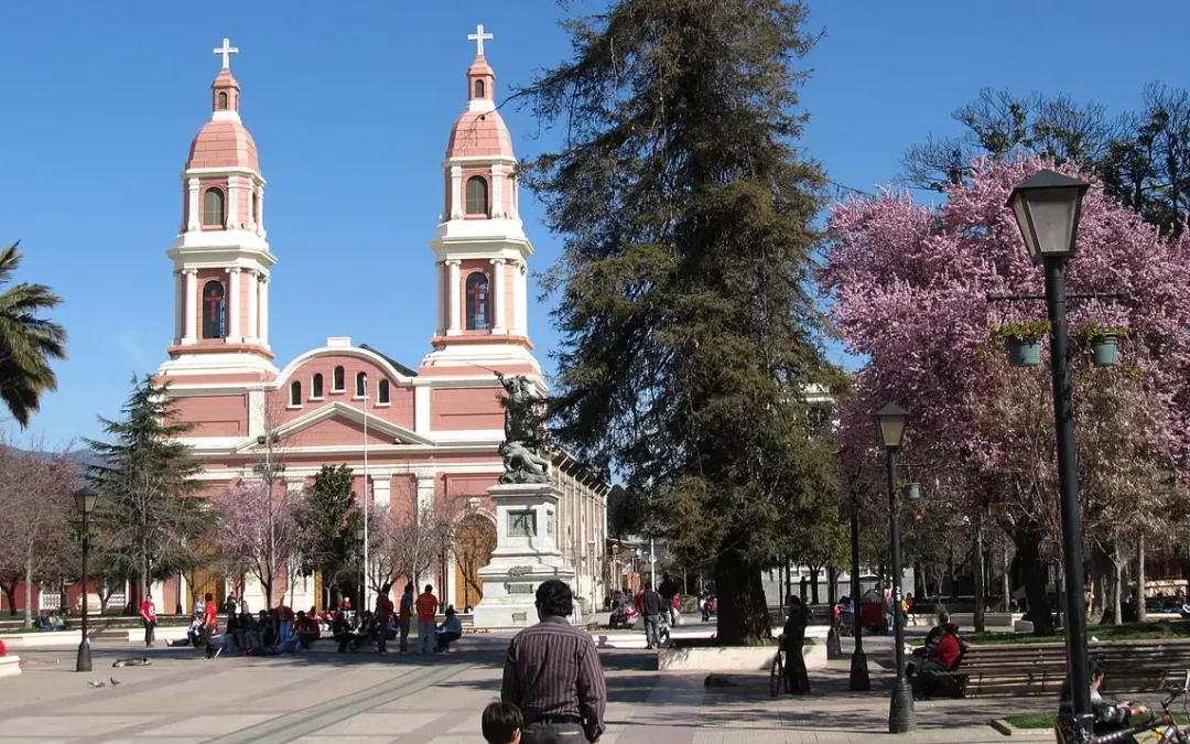 Rutas del Vino en la Región de O’Higgins