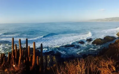 Punta de Lobos: El Paraíso Secreto de O’Higgins
