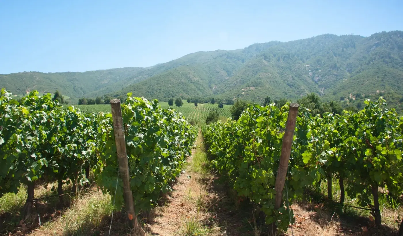 valle de cachapoal