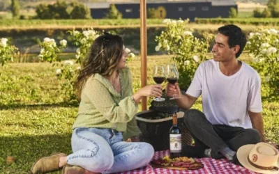 Tour Picnic
