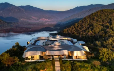 Cuatro viñas de O’Higgins entre las 50 mejores del mundo: Chile brilla en el enoturismo global