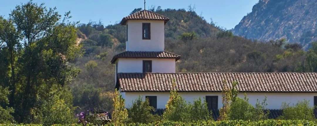 Tour en la Ruta del Vino de Cachapoal: Viñas, Historia y Degustaciones Exclusivas