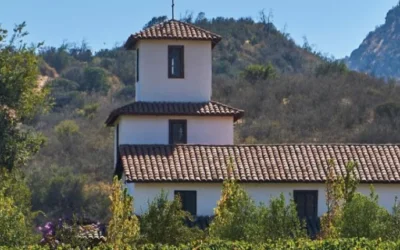 Tour en la Ruta del Vino de Cachapoal: Viñas, Historia y Degustaciones Exclusivas