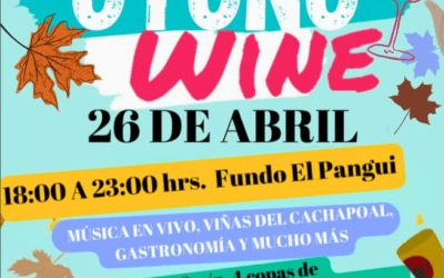 Otoño Wine 2025: Vino, sabor y música en el corazón del Cachapoal
