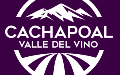 Ruta del Vino en Tren