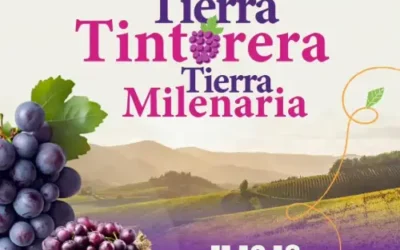 San Vicente celebra la Vendimia Tierra Tintorera 2025: Tres días de vino, tradición y cultura