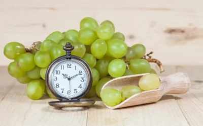 ¿Cuál es el horario de atención de la Ruta del Vino Cachapoal?