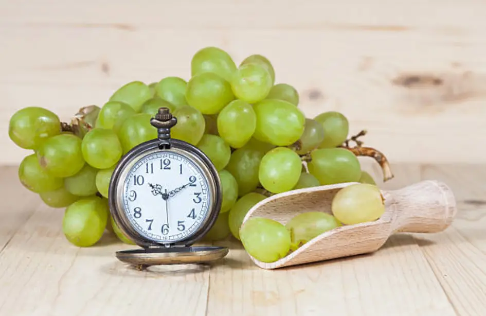 horario tours ruta del vino