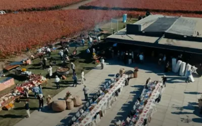 ¿Qué es la Fiesta de la Vendimia Cachapoal y cuándo se realiza?