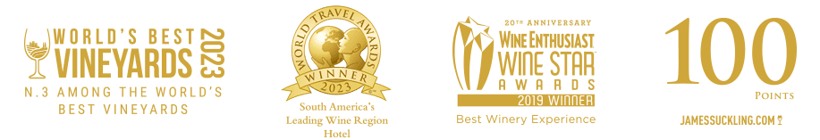 BANNER_PREMIOS_01-copy-33 PREMIOS VIÑA VIK