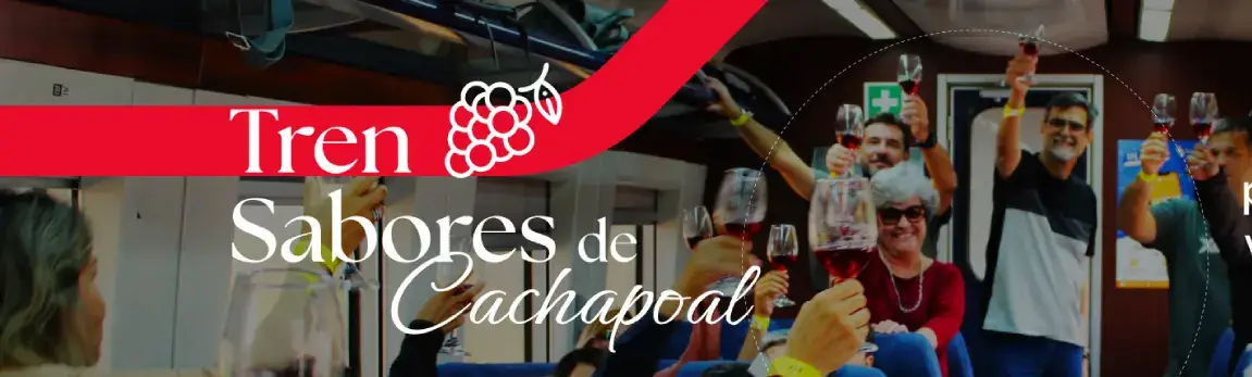 RUTA DEL VINO EN TREN - EFE VALLE DE CACHAPOAL