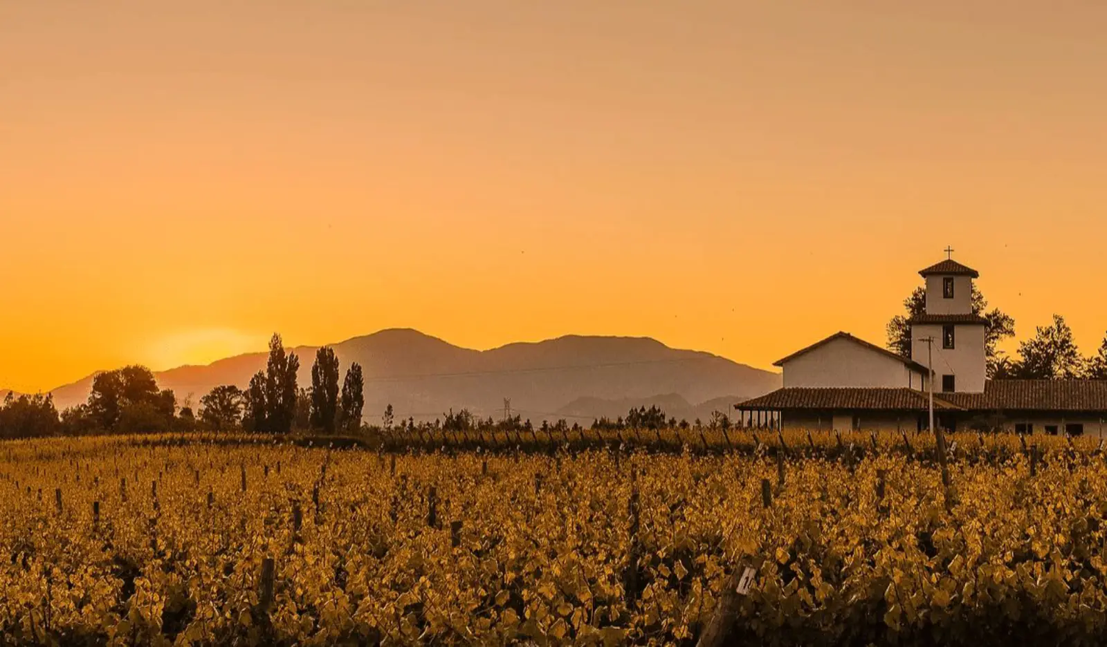 Viña valle secreto valle de cachapoal ruta del vino , viña valle secreto