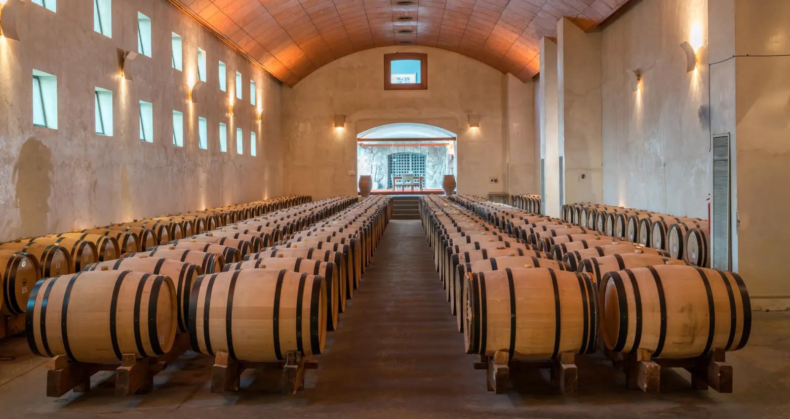 ruta del vino viña san pedro cachapoal