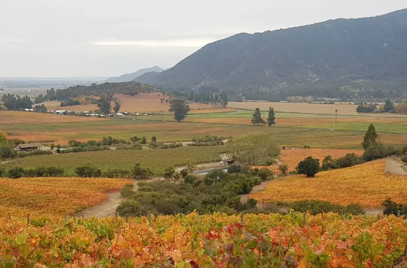 ruta del vino viña clos de luz ruta del vino cachapoal 2 ruta del vino viña clos de luz