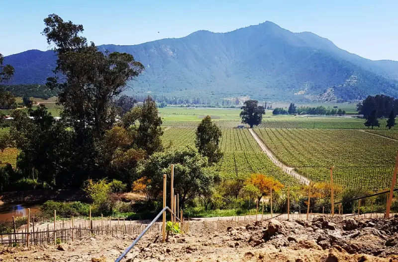 viña clos de luz ruta del vino cachapoal 1 ruta del vino viña clos de luz