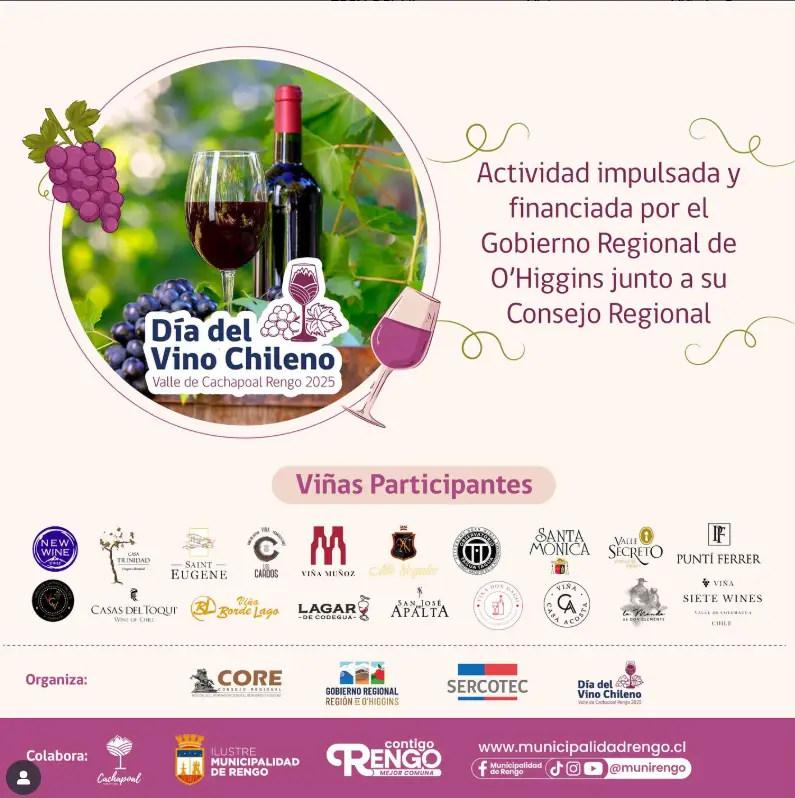 fiesta vino chileno