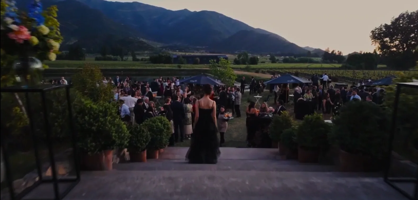 RUTA DEL VINO VALLE DE CACHAPOAL