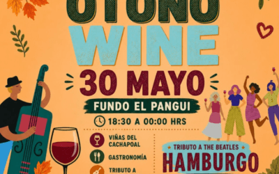 Un imperdible del Valle de Cachapoal -Otoño Wine 2026