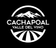 RUTA DEL VINO CHILE 2026