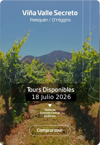 ruta del vino vino en tren 