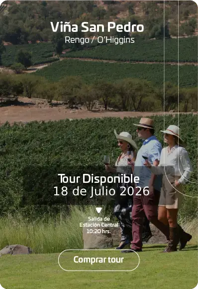 tren del vino