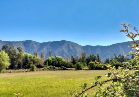 cachapoal centro doñihue