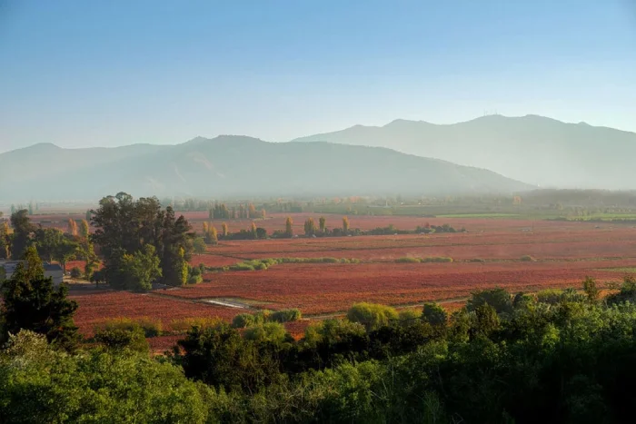 valle de peumo concha y toro
