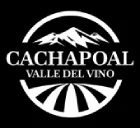 RUTA DEL VINO CACHAPOAL -VALLE DE VINO 1 RUTA DEL VINO