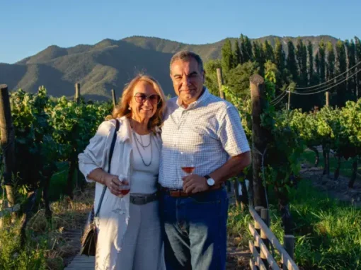 Tour Berá: Una Experiencia Premium entre Viñedos, Barricas y Grandes Vinos