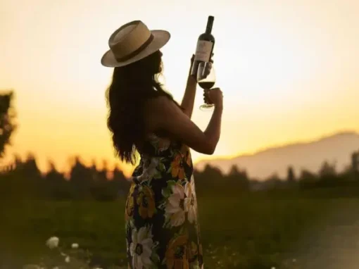 Tour Primera Experiencia: Viñedos, Terroir y los Secretos de Viña Valle Secreto