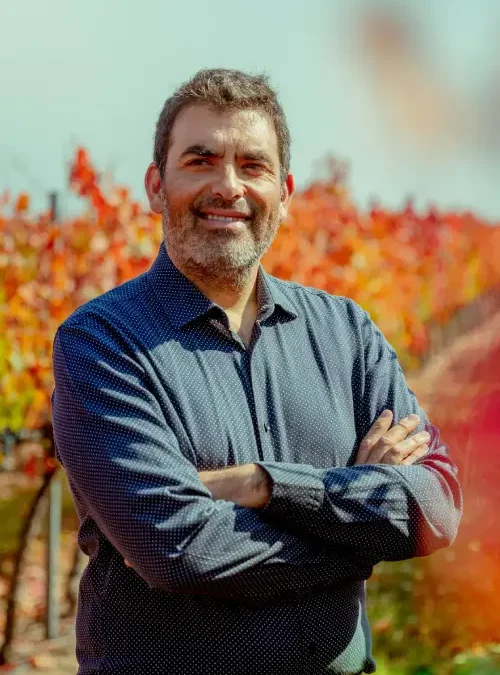 Carmenere: la identidad de Chile que aprendió a esperar