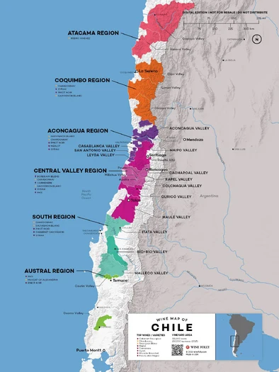 rutas del vino chile