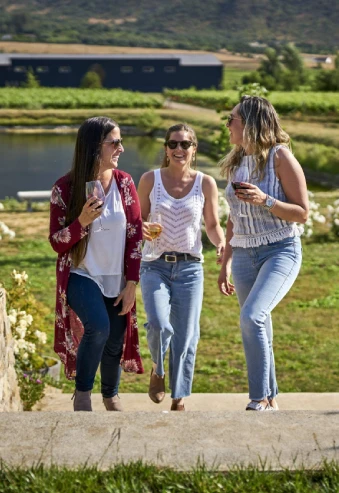 ruta del vino en tren cachapoal valle secreto