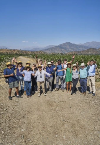 ruta del vino en tren viña lagar de codegua