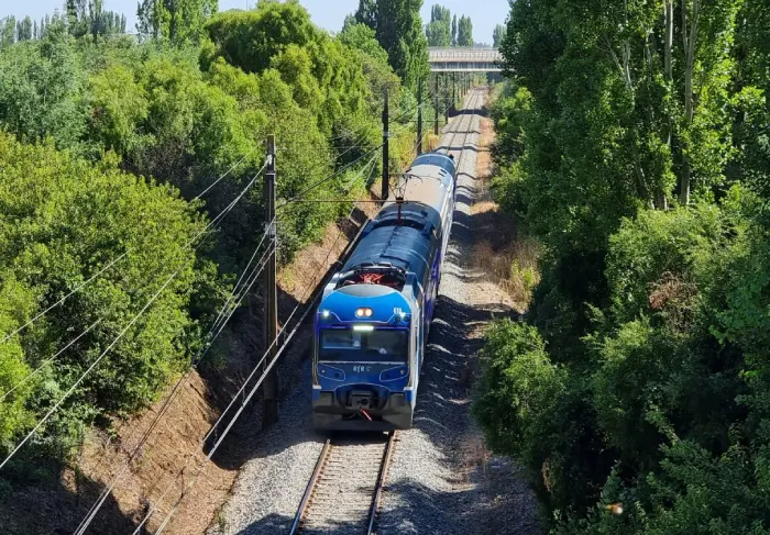 tren del vino chile
