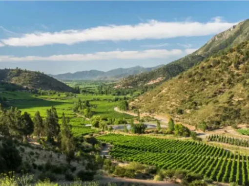 Rutas del Vino de Chile