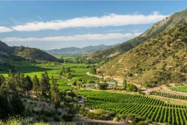 rutas del vino chie